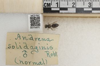Media type: image;   Entomology 773071 Aspect: Labels